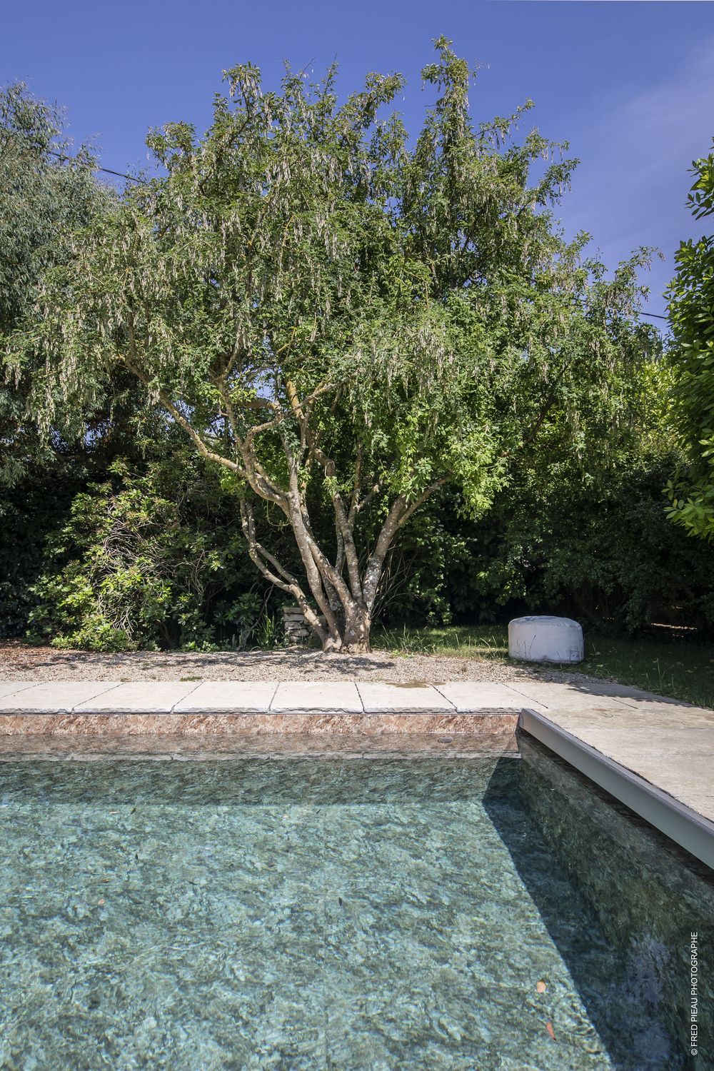 Photo jardin et piscine