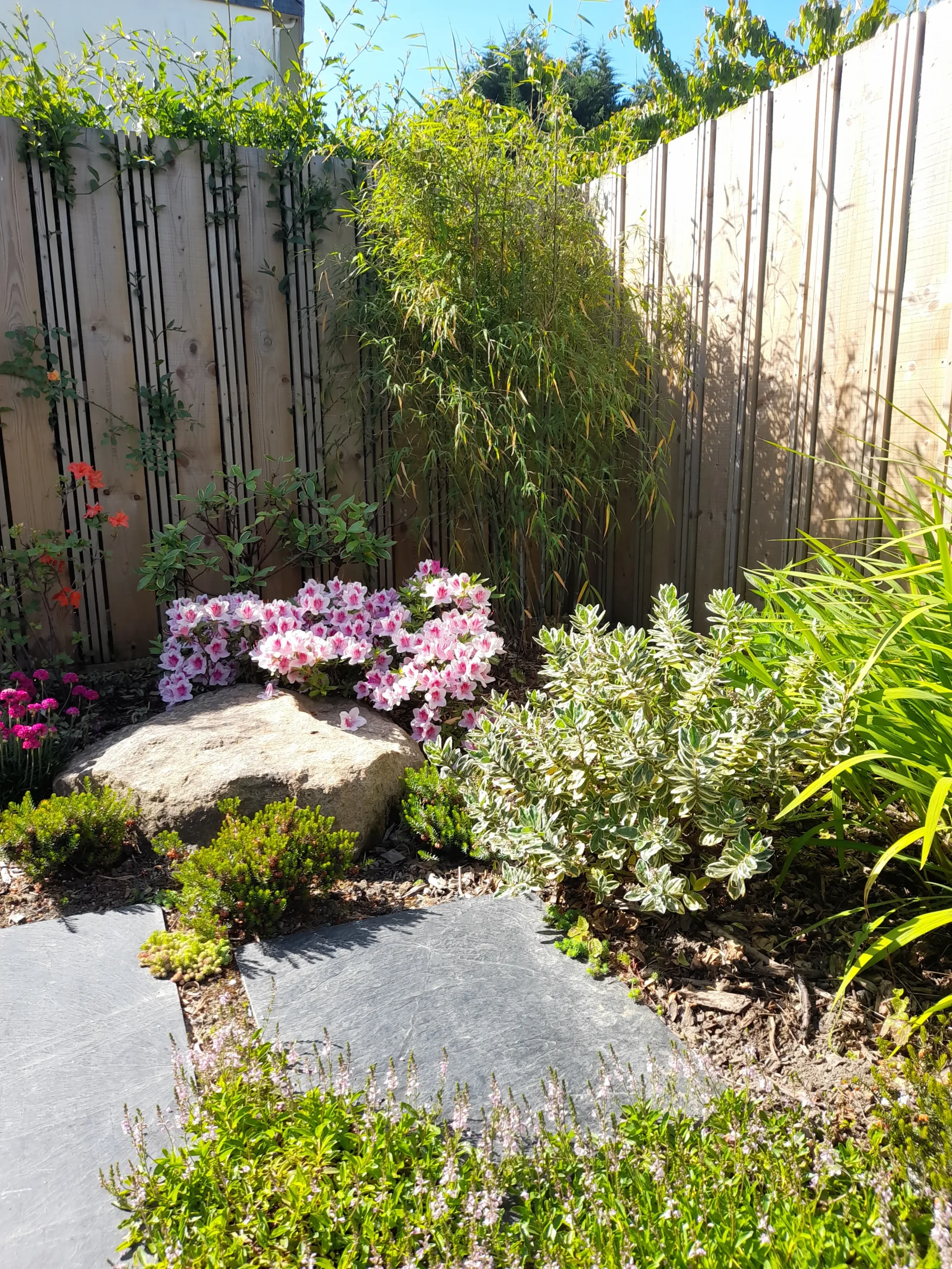 Photo jardin