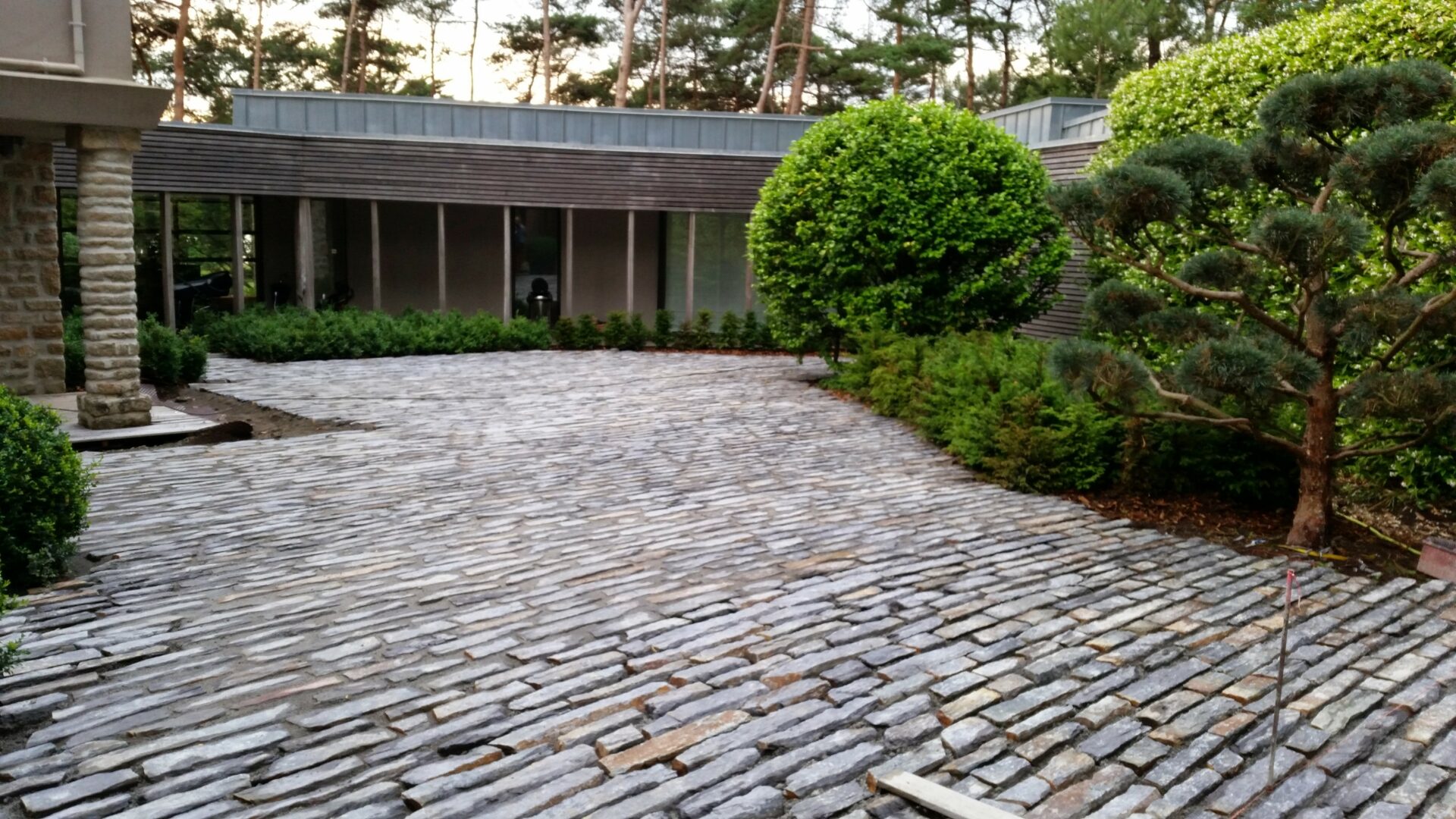 Photo jardin