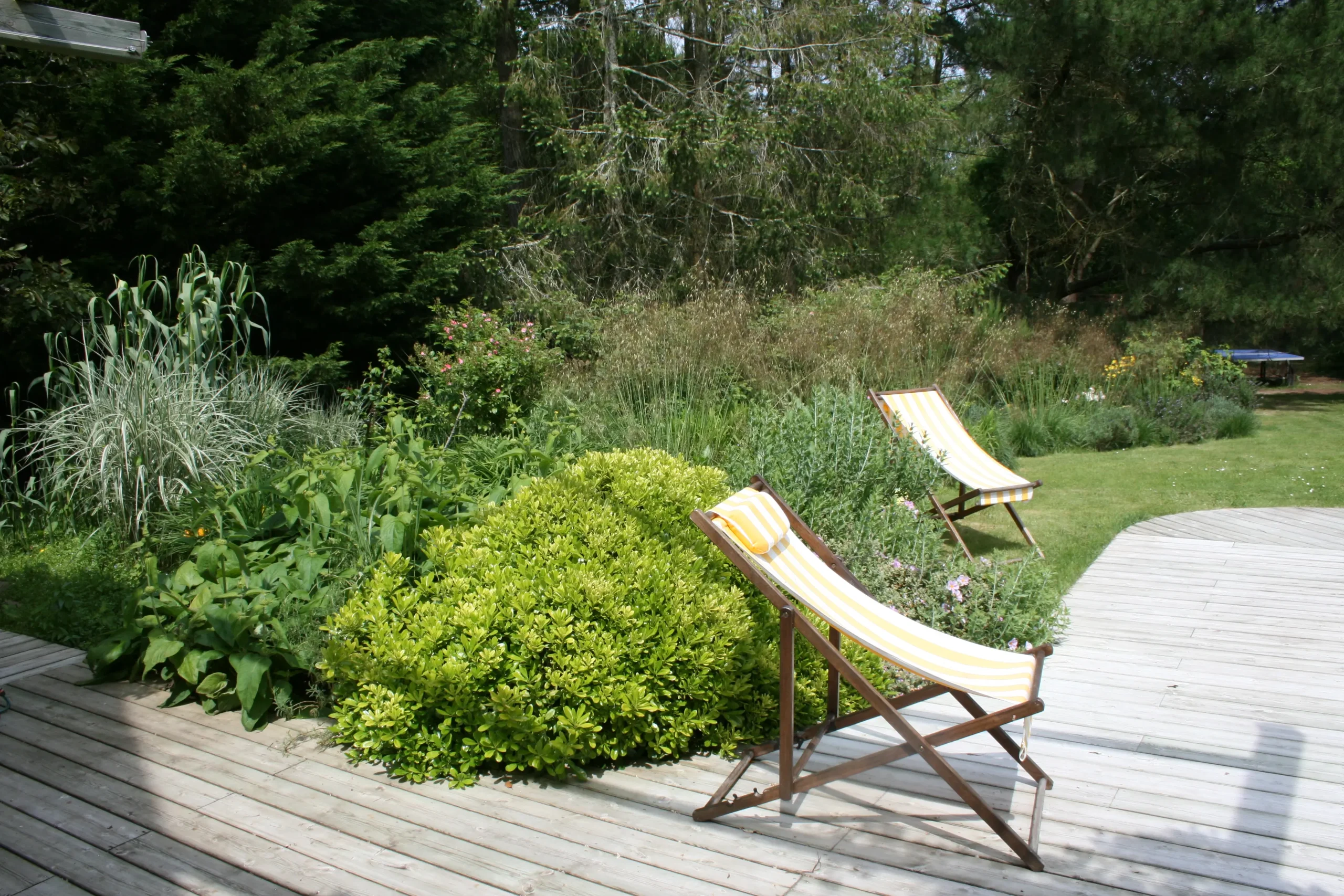 Photo jardin