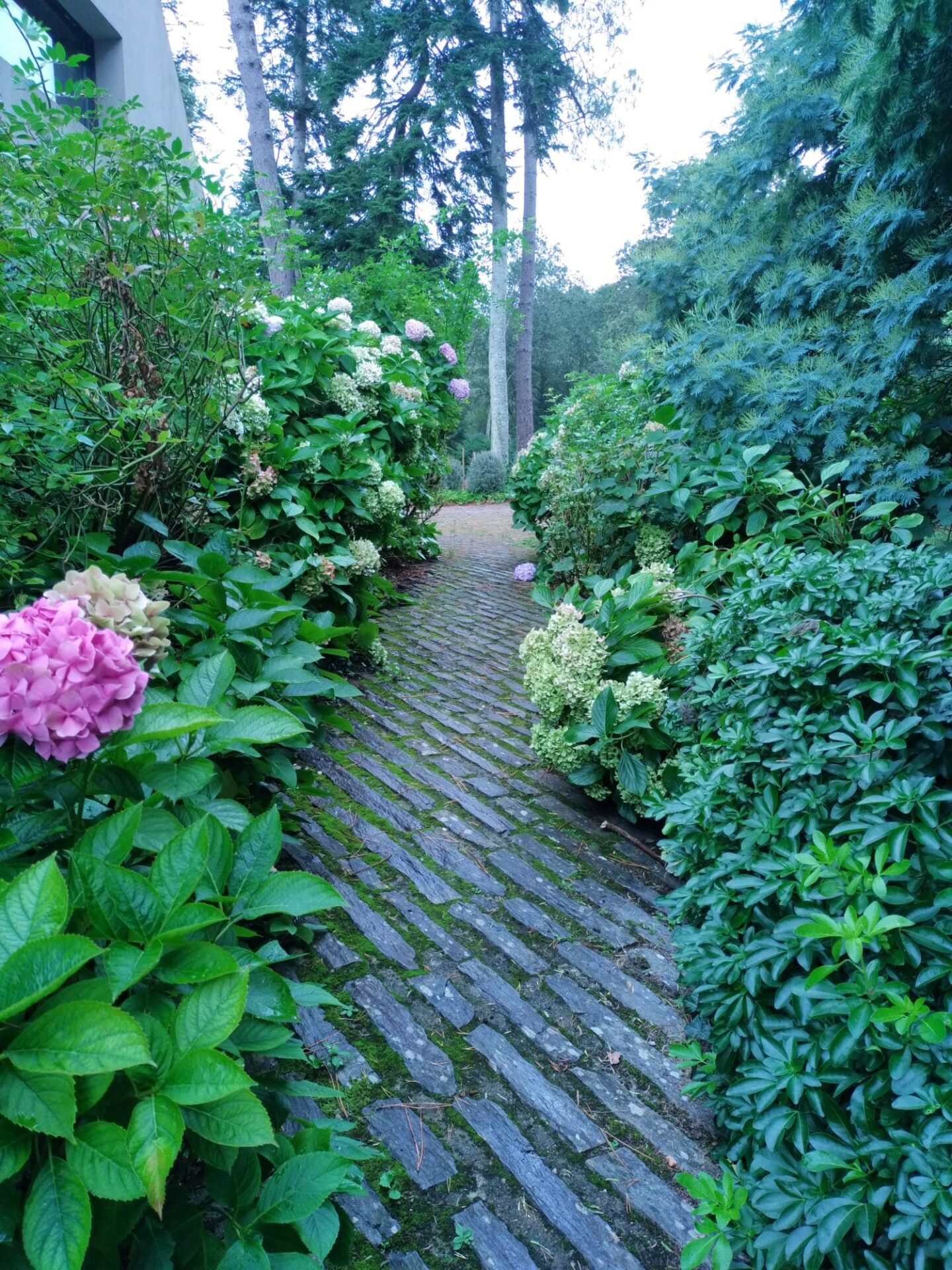 Photo jardin