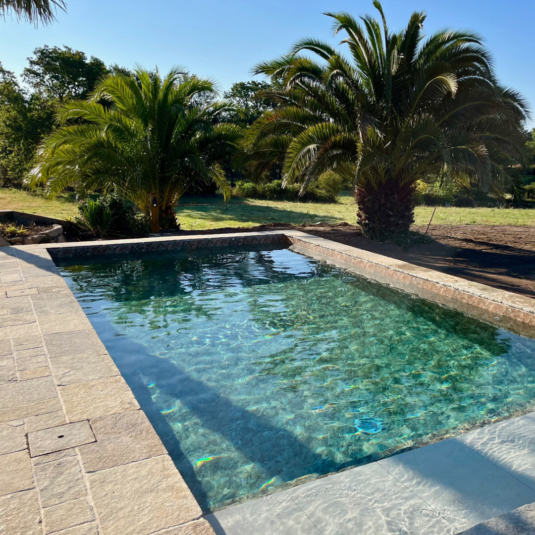 Vue piscine / jardin